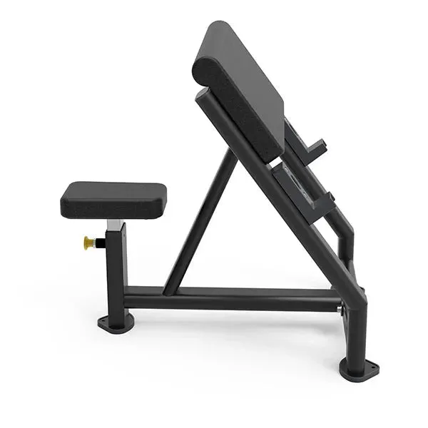Define Your Biceps with the Versatile Biceps Gym Use Training Bench Marshal Fitness