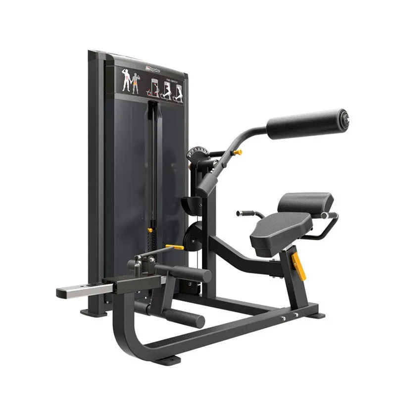 IF9334 Ab and Back Extension Orbit Fitness