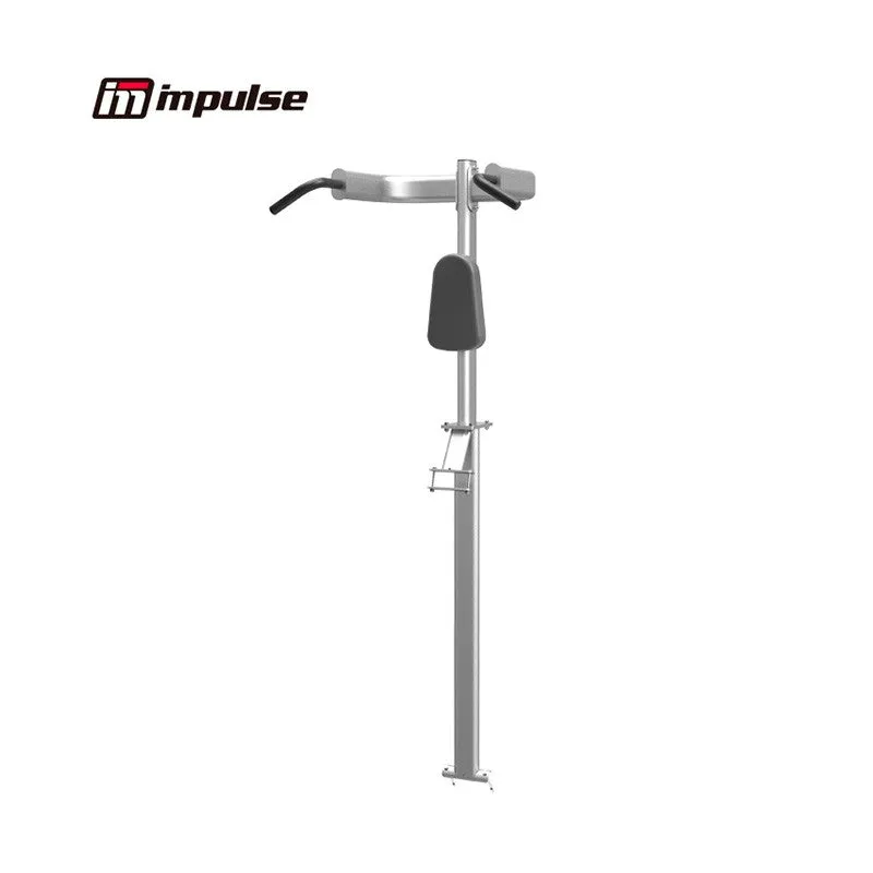 IT7010 Verticle Knee Raise w/Chin-up and Dip Orbit Fitness