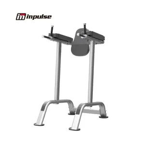 IT7010 Verticle Knee Raise w/Chin-up and Dip Orbit Fitness