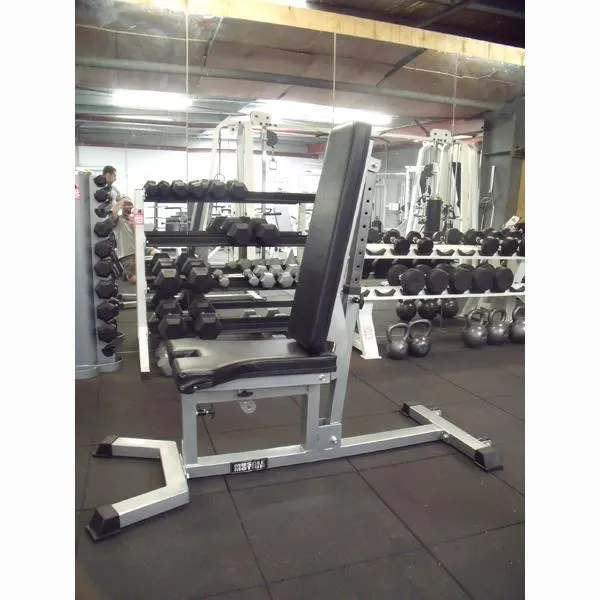 Muscle Motion ASFID Super FID Bench (Rating Certified)