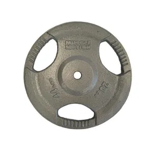 Muscle Motion Iron Standard Size Weight Plates (Pair)