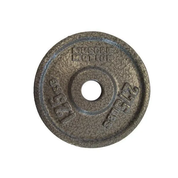 Muscle Motion Iron Standard Size Weight Plates (Pair)