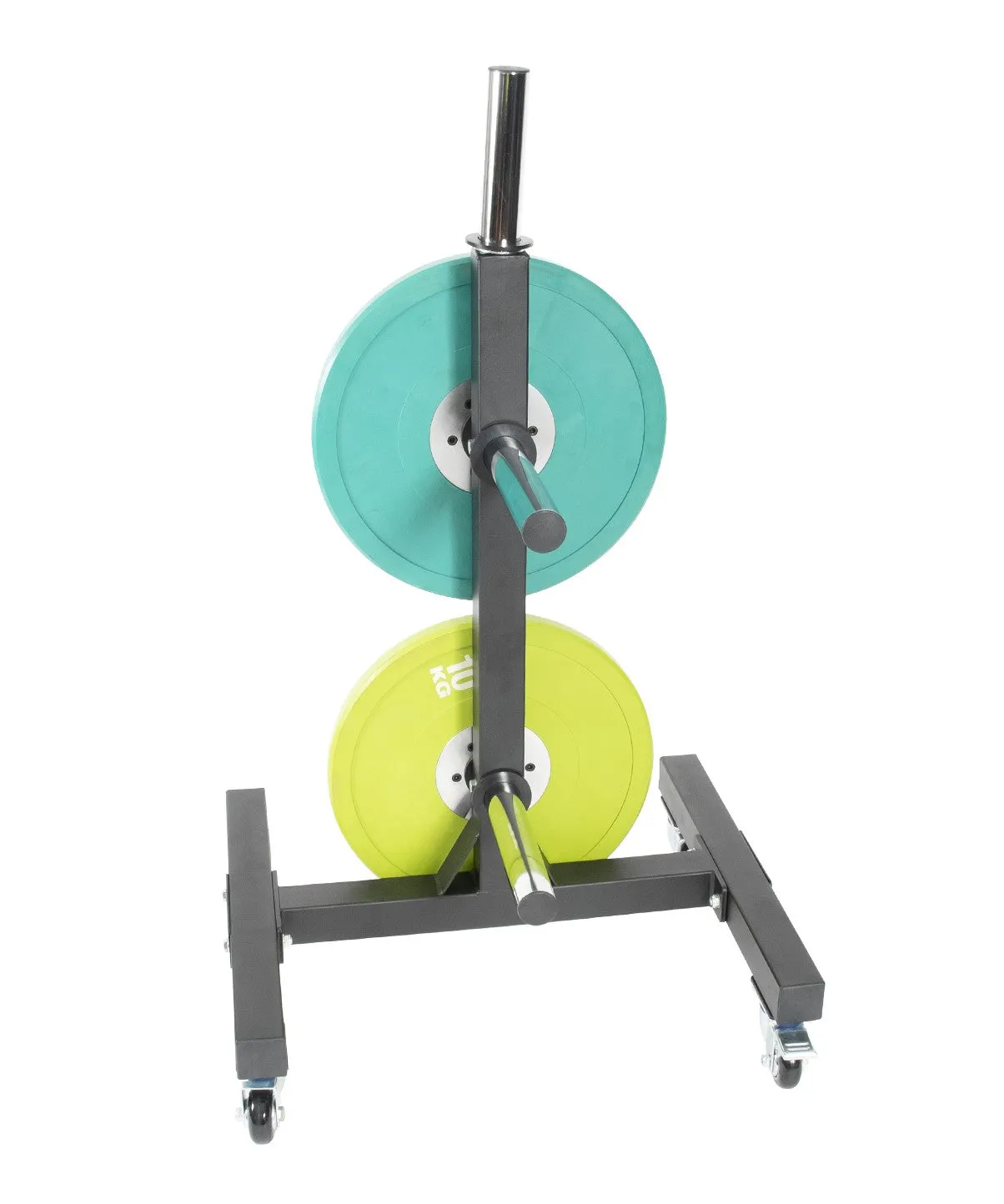 Olympic Storage Tree Orbit Fitness