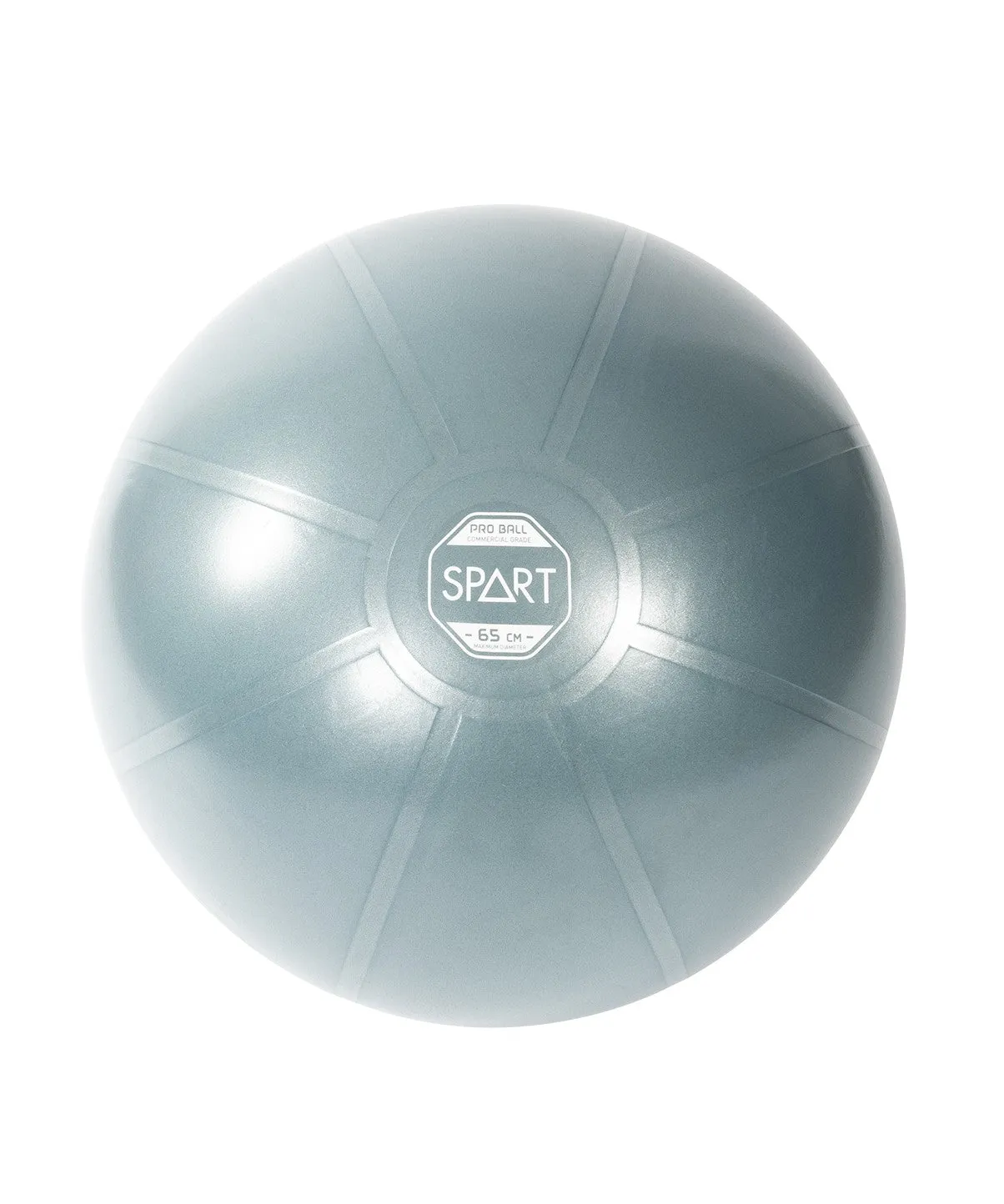 Pro Exercise Ball Orbit Fitness