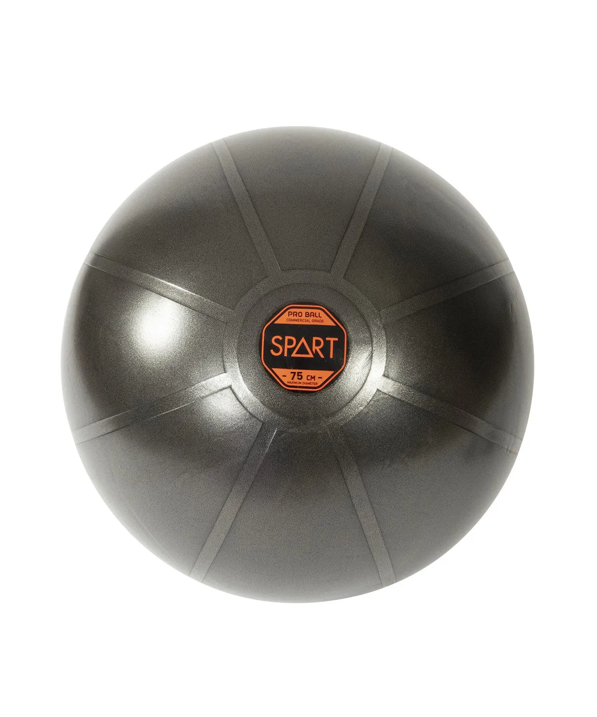 Pro Exercise Ball Orbit Fitness