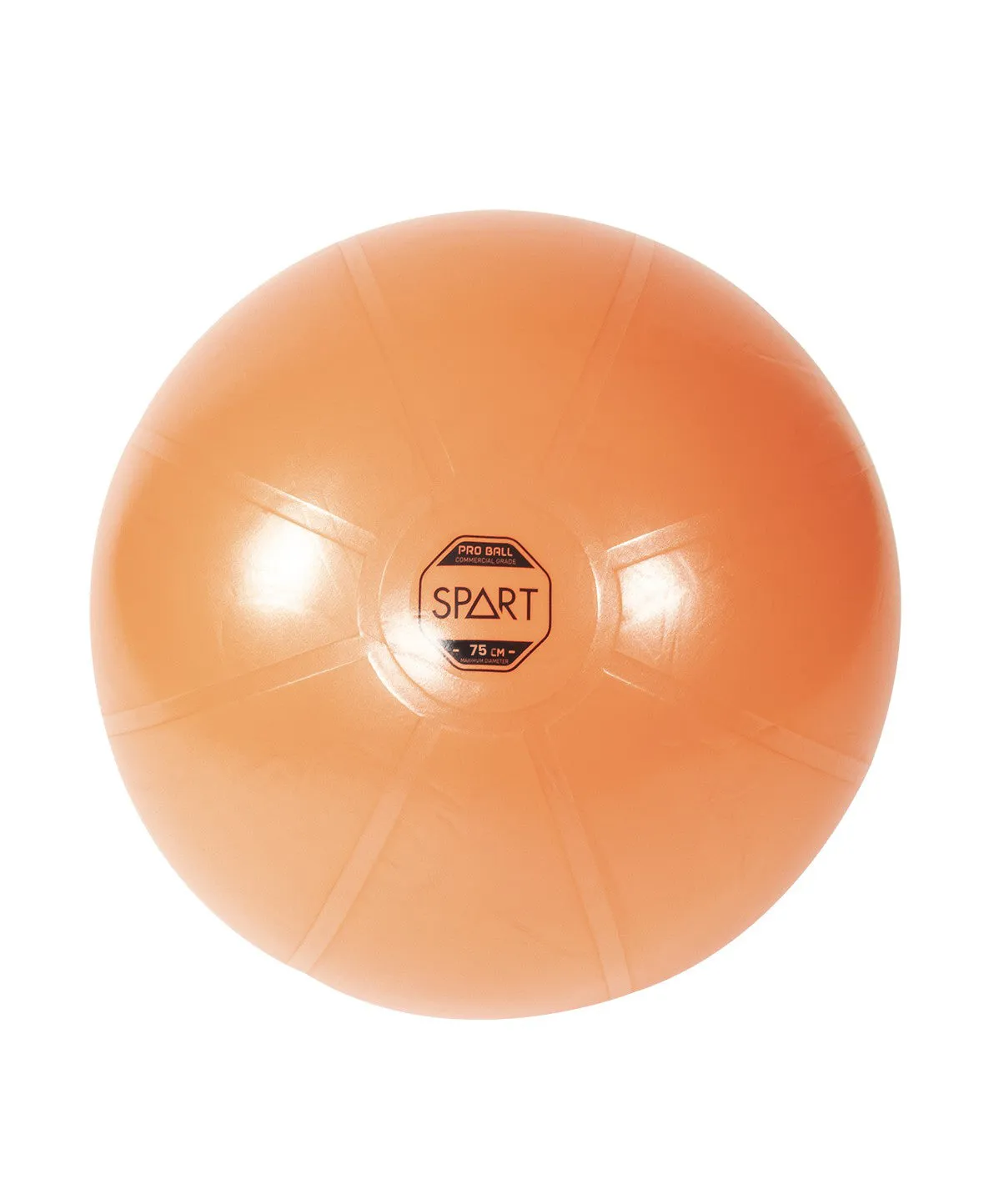 Pro Exercise Ball Orbit Fitness