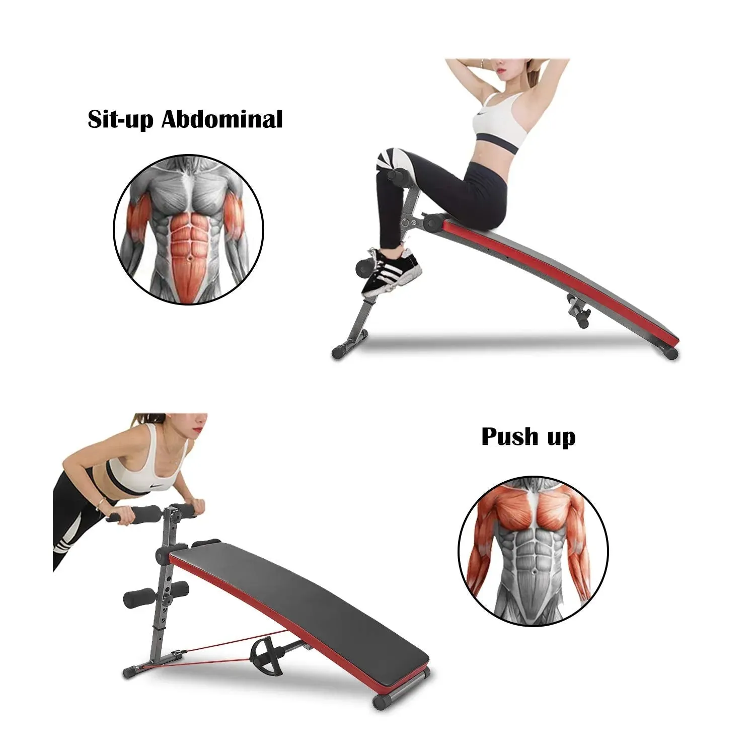 Sit Up Bench Gym Exercise Decline Adjustable Workout Bench Foldable Fitness Training Ab Crunch Newer Version Marshal Fitness