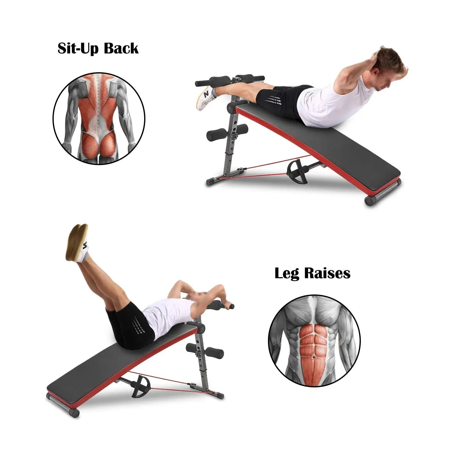 Sit Up Bench Gym Exercise Decline Adjustable Workout Bench Foldable Fitness Training Ab Crunch Newer Version Marshal Fitness