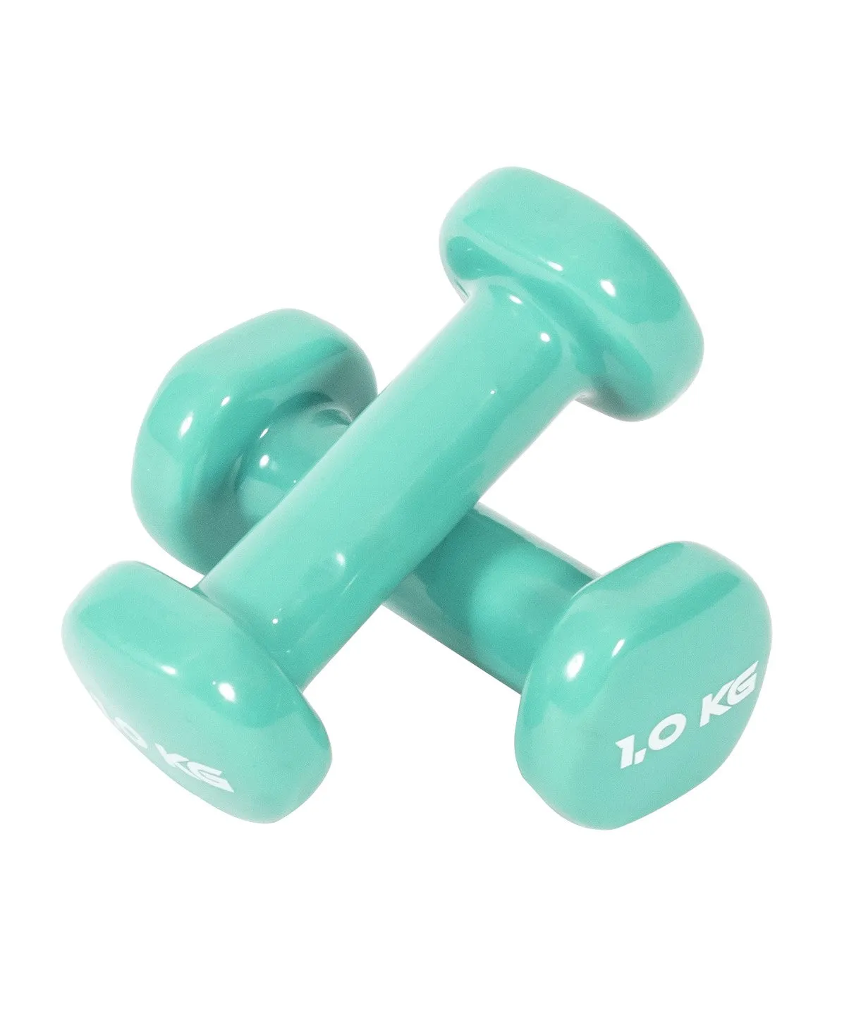 Vinyl Dipped Dumbbells Orbit Fitness
